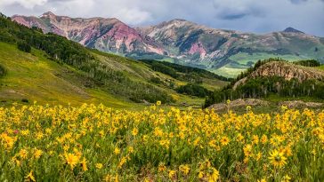 Colorado in June: Everything You Need to Know